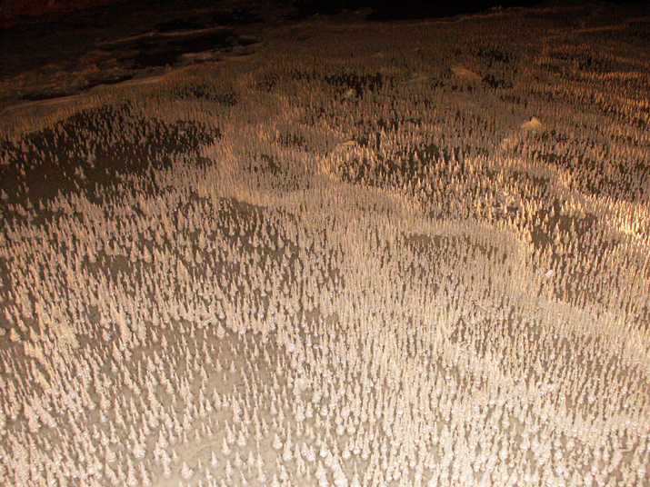 2005-11 WE Cevennes 029.jpg - DCF 1.0